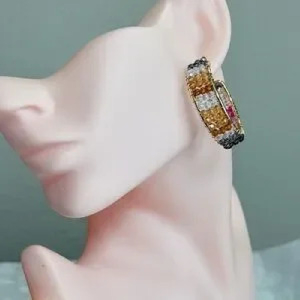 Elegant Multicolor Hoop Earrings